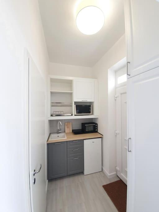Master Apartment With Air Condition And Separated Rooftop Terrace 布达佩斯 外观 照片