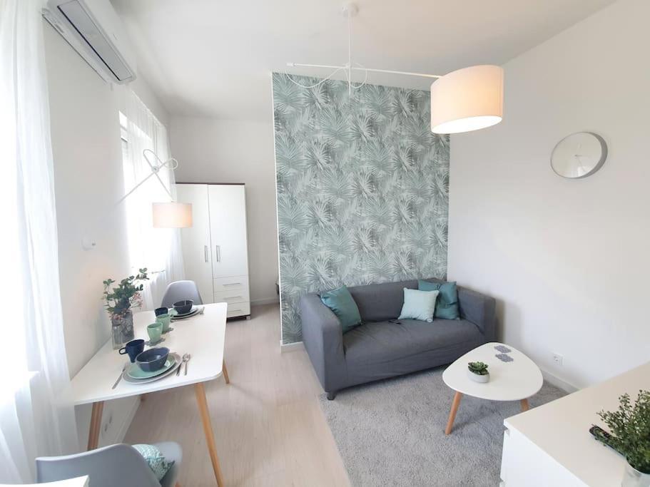 Master Apartment With Air Condition And Separated Rooftop Terrace 布达佩斯 外观 照片