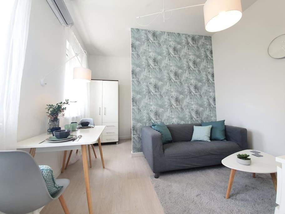 Master Apartment With Air Condition And Separated Rooftop Terrace 布达佩斯 外观 照片