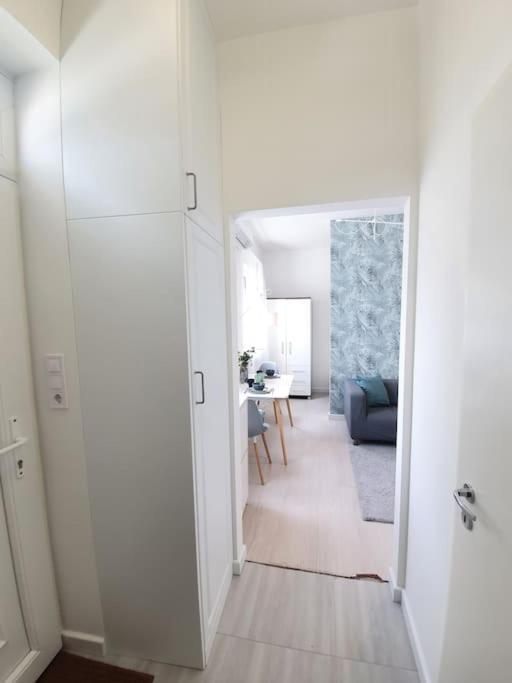 Master Apartment With Air Condition And Separated Rooftop Terrace 布达佩斯 外观 照片