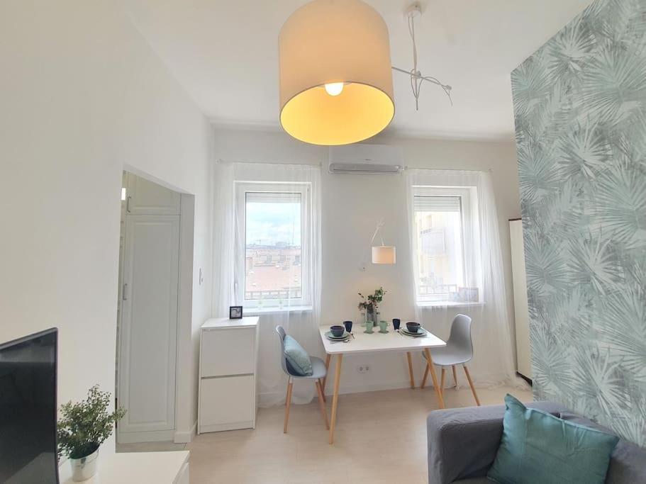Master Apartment With Air Condition And Separated Rooftop Terrace 布达佩斯 外观 照片
