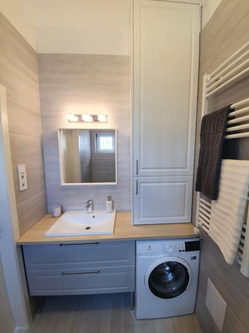 Master Apartment With Air Condition And Separated Rooftop Terrace 布达佩斯 外观 照片