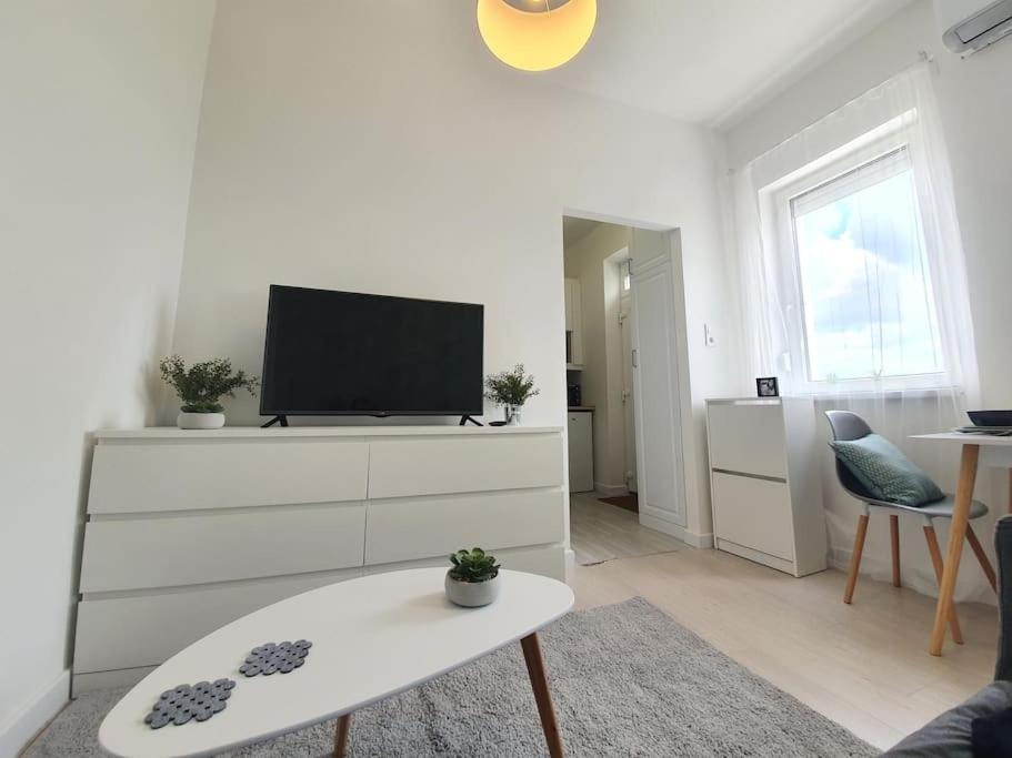 Master Apartment With Air Condition And Separated Rooftop Terrace 布达佩斯 外观 照片